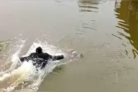 广东90后“眼镜哥”，飞身救下落水小男孩，事后婉拒对外公布个人信息图片