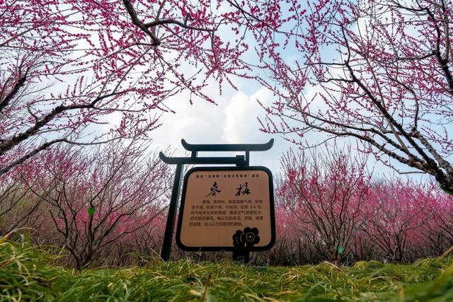 四时天工 扬州如画