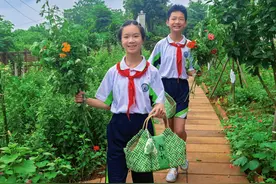 包粽子、制香囊，小学生“沉浸式”体验端午习俗图片