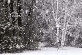 大雪+降温14℃+阵风10级！大范围雨雪将至，河北未来三天……图片