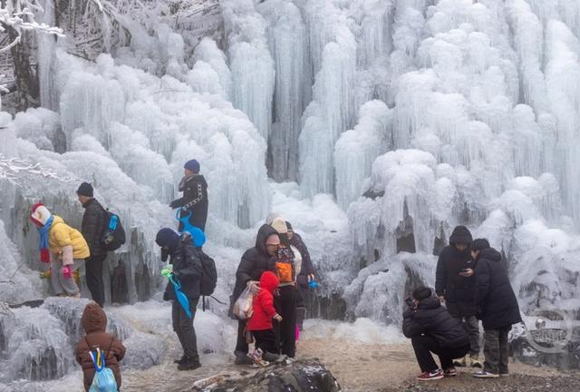 一秒入仙境！金佛山冬雪、日出、云海绝美同框