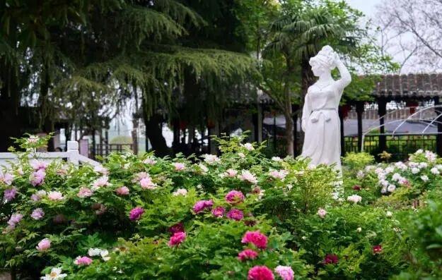 跟着《大生意人》“读”盐城