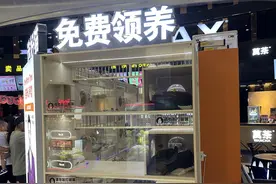 免费领养猫咪还要定期充值，是“真爱心”还是“纯套路”？图片