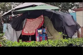 上海一小区惊现“最豪华”流浪猫舍？气味难以名状 居委最新回应图片