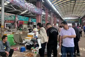 1000元→150元！昆明市场这种野生菌价格大跳水图片