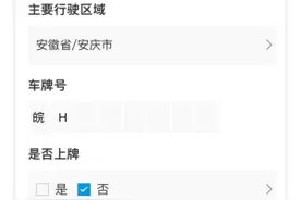 落地7省！比亚迪保险开通自主投保，部分其他品牌也可参保 王传福：要做到不赔钱还能赚钱图片
