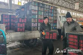 寒潮来袭 暖心行动丨乌鲁木齐批发市场蔬菜供应充足价格平稳图片