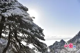 只有一个黄山：雨水节气，雪后日出美轮美奂图片
