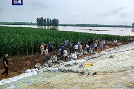 汉江支流唐河遭遇洪峰 当地紧急转移安置4281人图片