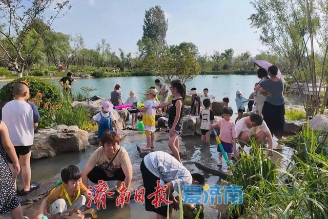 济南白泉开放首月：12.8万人次打卡，单日最高过万！