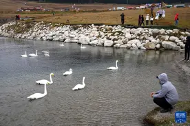 铸牢共同体 中华一家亲丨雨后赛里木湖图片