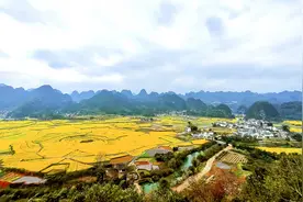 “人文兴义”开启暖冬盛宴之：油菜花海迎新年图片