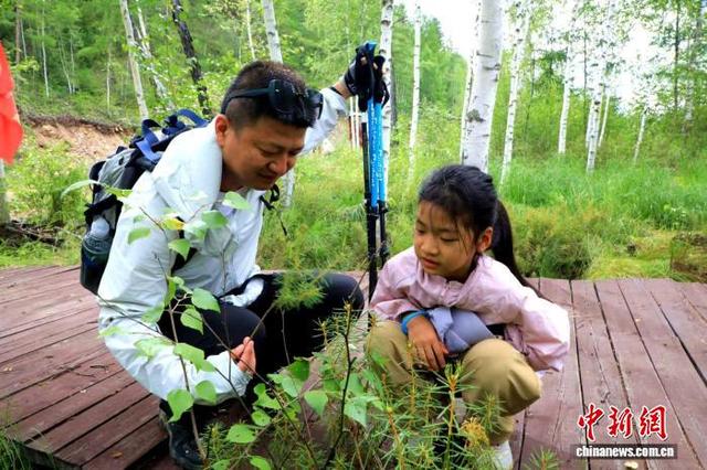 近30名青少年林海徒步研学 开启33公里“找北”之旅