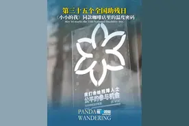 熊猫观察丨在《小小的我》取景地，触摸成都的温柔图片