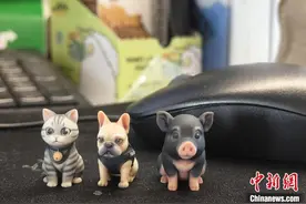 定制宠物纪念品热 消费者在仪式感中寻找情感出口图片