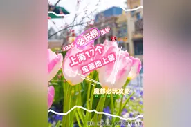 魔都必玩攻略丨2025 “必玩榜”出炉，上海17个宝藏地上榜图片