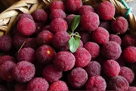 想吃杨梅又怕有虫？这样做放心吃！图片