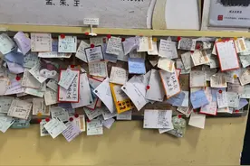 真暖！这所学校多了面“会说话”的墙图片