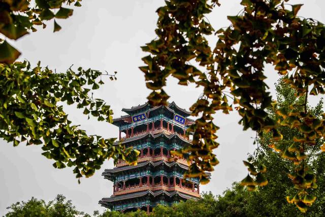 京城拍客今日精选｜十月风光好 秋染永定楼