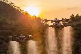 低成本大载荷！大疆农业无人机成低空经济先行官，但“权宜之用”需谨慎图片