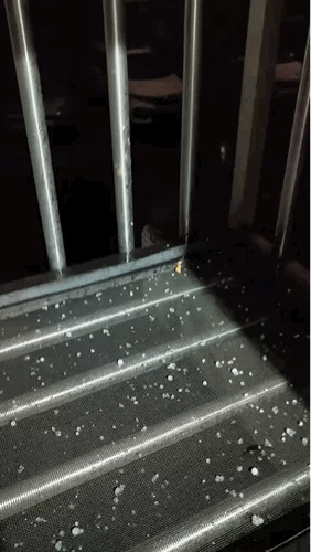 无锡下冰雹了！接下来的天气太刺激……图片