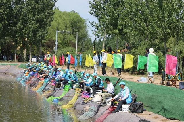 赴商河，赏花、垂钓、摘甜瓜……趣玩不重样