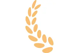 定了！2025浙江高考招生录取进程全览图片