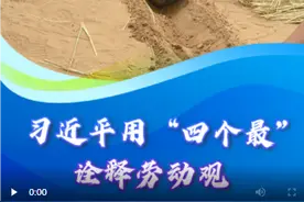 【讲习所·追光的你】习近平用“四个最”诠释劳动观图片