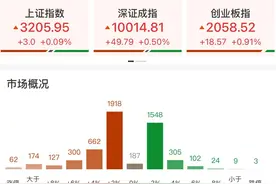 午评：北证50指数半日大涨超6% 网络安全、华为概念股集体走强图片