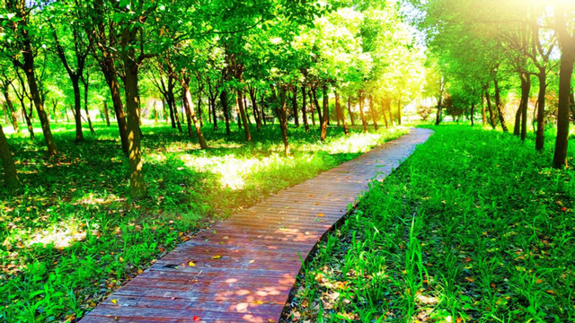 参与古镇联合申遗背后，上海新场镇的“治河”之路