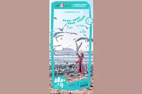 嗨游青岛 | 不如就来青岛过冬天，共赴山海康养之旅图片