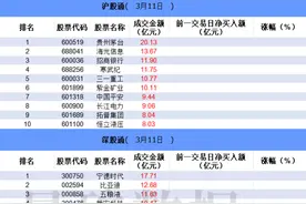 数据看盘多只纳指ETF成交额大增 机构、游资联手抢筹岩山科技图片