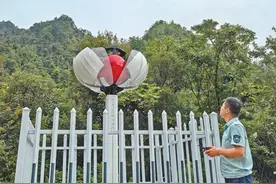 山高林深处  护多样物种（美丽中国）图片