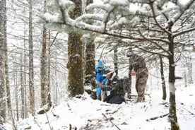 生态越来越好！玉龙雪山监测到……图片
