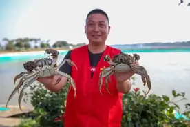 今年，个头惊人！上海人喜爱的美味大量上市……这个职业生意火爆：日薪达千元图片