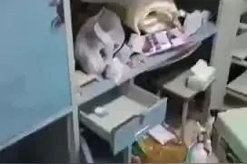 石家庄一高校翻查宿舍没收物品？校方：正在调查，不排除摆拍视频图片