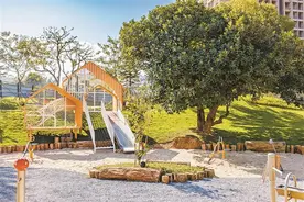 见缝插针建社区公园 锚固城市新生态格局 1320个！深圳公园数量又刷新了图片