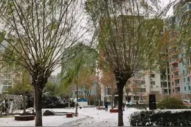 北京新政落地探访：中介门店咨询量上涨，置换客户迅速卖一买一图片