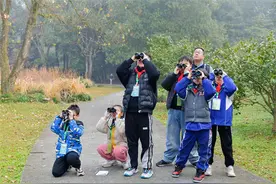 这场大赛“羽”众不同，第十四届少先队观鸟赛如期举行图片