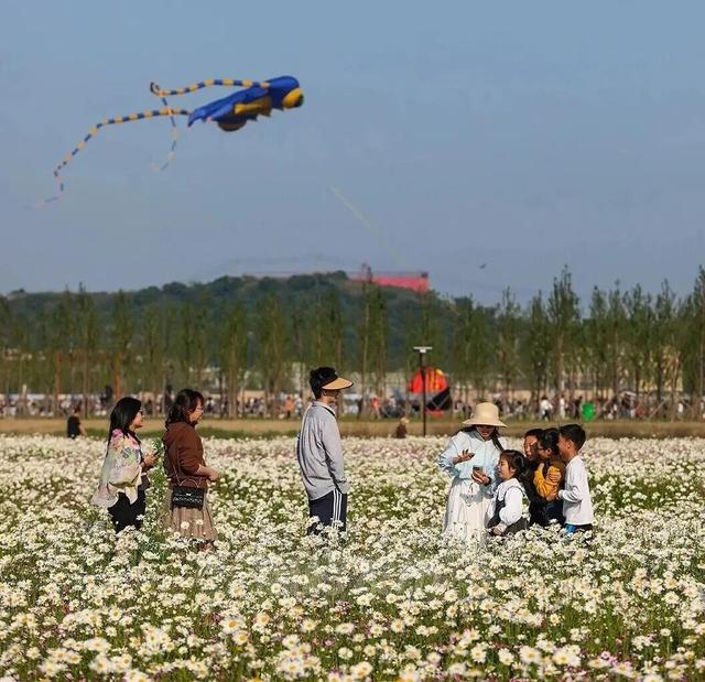 台州这些初夏赏花秘境，承包你的朋友圈