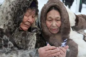 加拿大政府为屠杀雪橇犬历史向因纽特人道歉图片