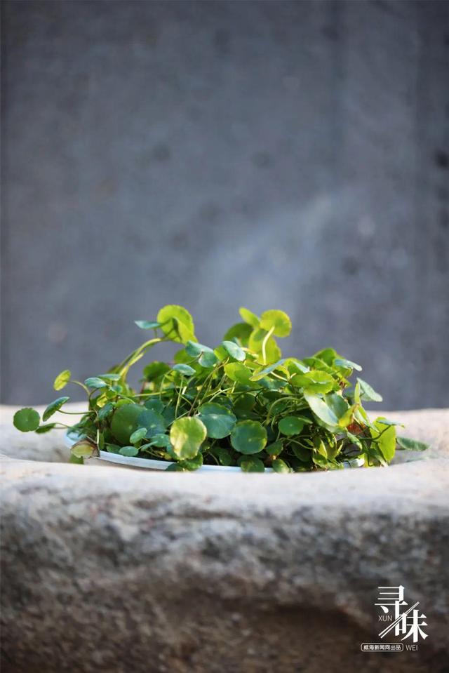 威海有花胶没 2026年烟台花胶厂家