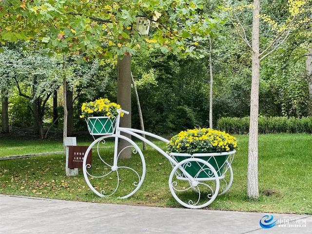 兰州植物园7000余盆菊花绘就秋日画卷
