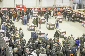 “燃”遍海外引抢购，中国烟花频出圈图片