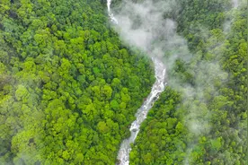 世界环境日丨一起看看绿意贵州的绝美生态画卷图片