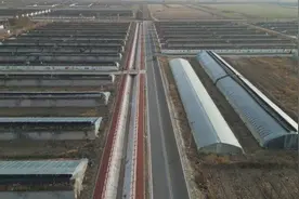 东营市东营区：建设“四好农村路”  铺就和美乡村新画卷图片