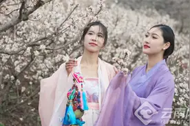 2025云南武定首届“樱桃花开·情漫武定”艺术节模特服饰·摄影大赛启幕图片