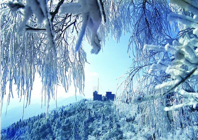 红绿交融，荣耀上榜！解锁最美井冈山的限定冬韵