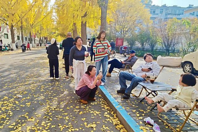 秋日“落叶缓扫”藏诗意，淄博人的周末很美妙