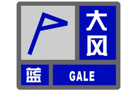 上海发布大风、寒潮蓝色预警信号图片
